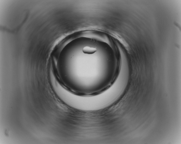 X0000095881316200801111124