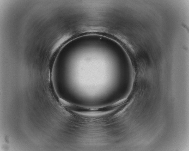 X0000095881317200801111124
