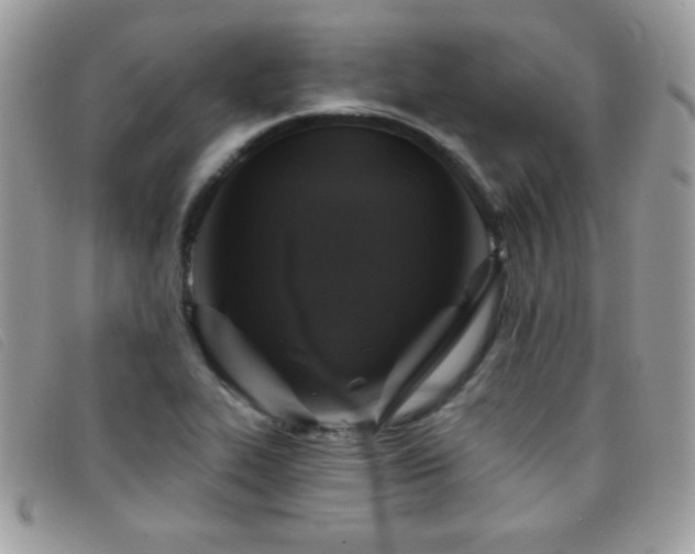X0000095881319200801111124