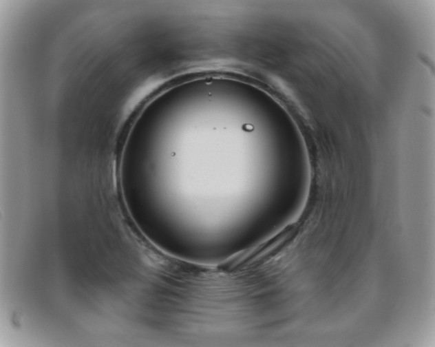 X0000095881320200801111124