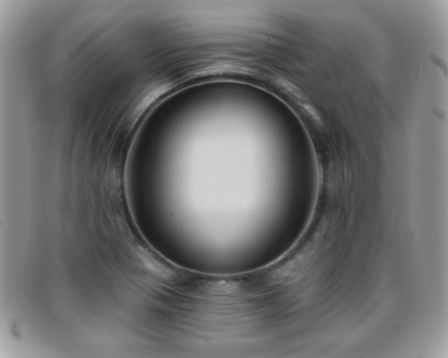 X0000095881321200801111124