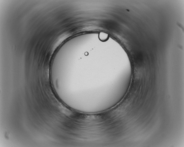 X0000095881322200801111124