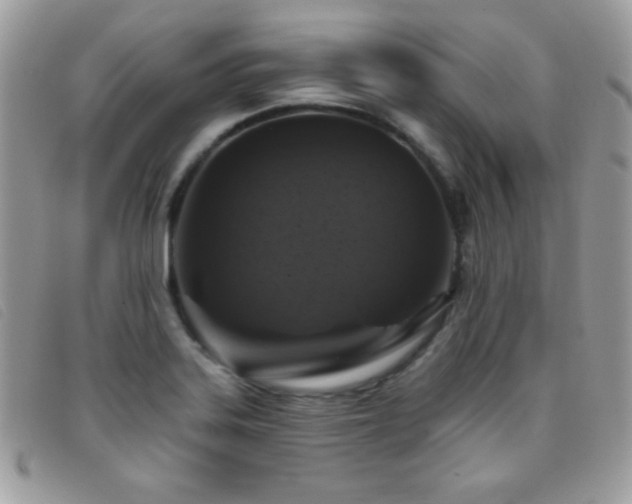 X0000095881323200801111124