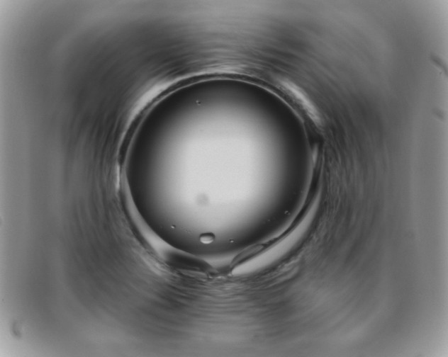 X0000095881324200801111124