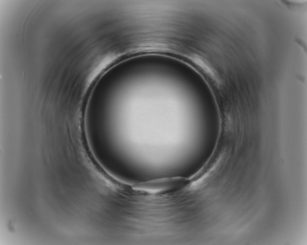 X0000095881325200801111124