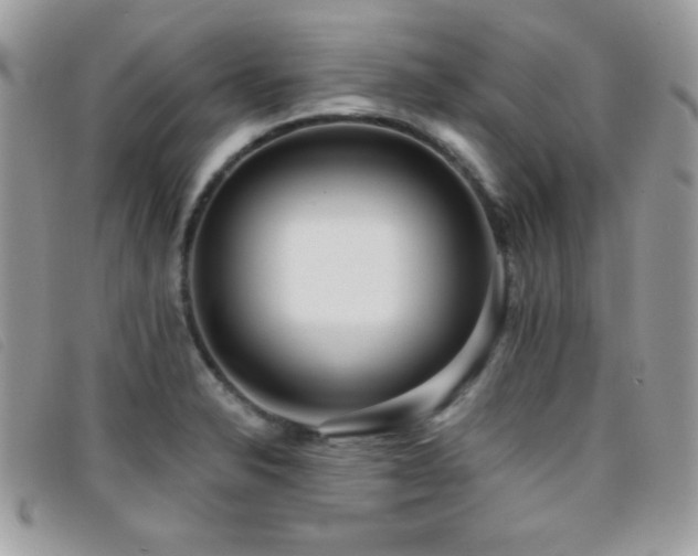 X0000095881326200801111125