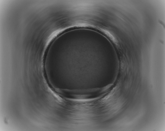 X0000095881327200801111125