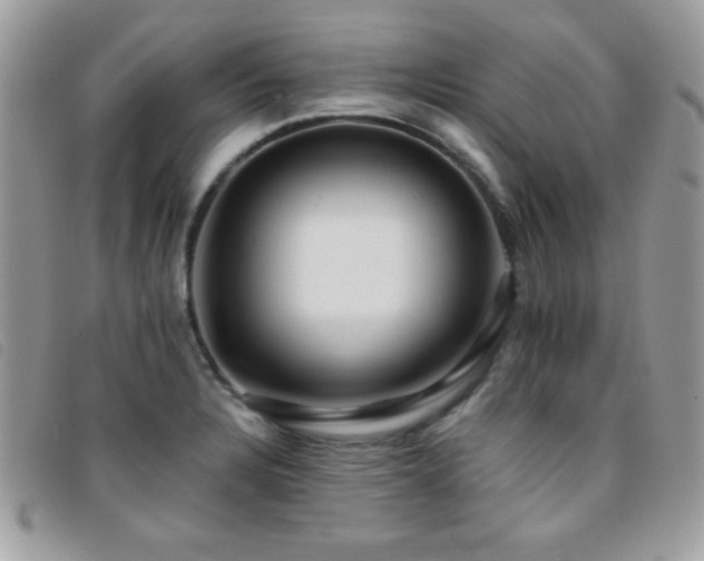 X0000095881328200801111125