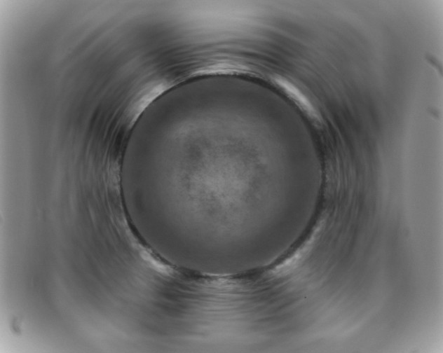 X0000095881329200801111125