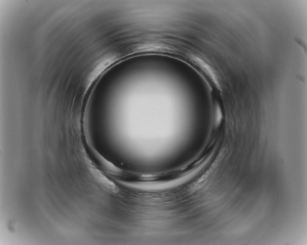 X0000095881330200801111125