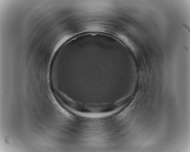 X0000095881331200801111125