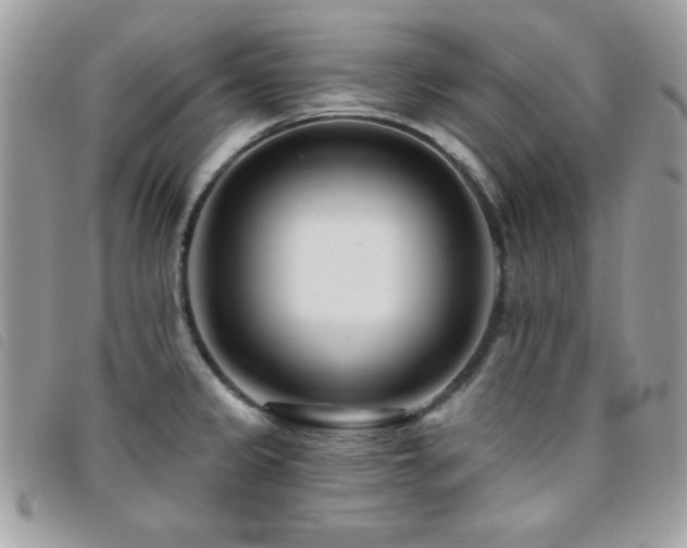 X0000095881333200801111125