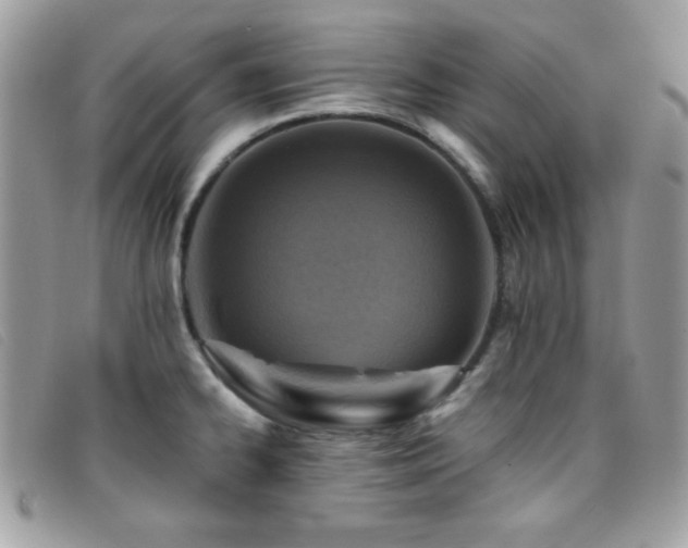 X0000095881334200801111125