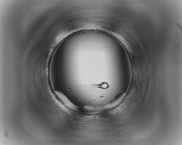X0000095881335200801111125