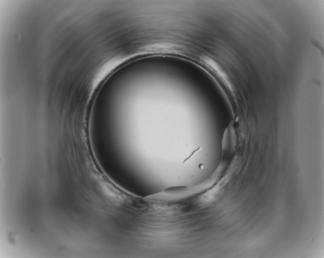 X0000095881336200801111125