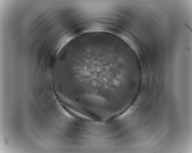 X0000095881337200801111125