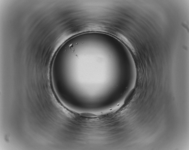 X0000095881339200801111125