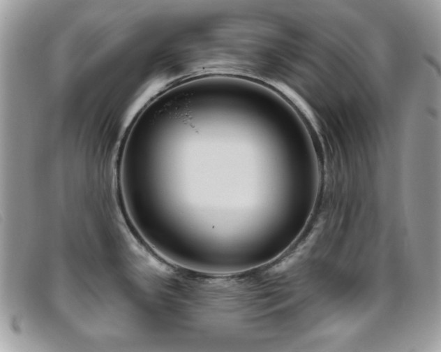 X0000095881341200801111125