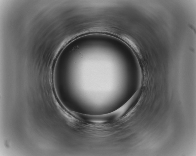 X0000095881342200801111125