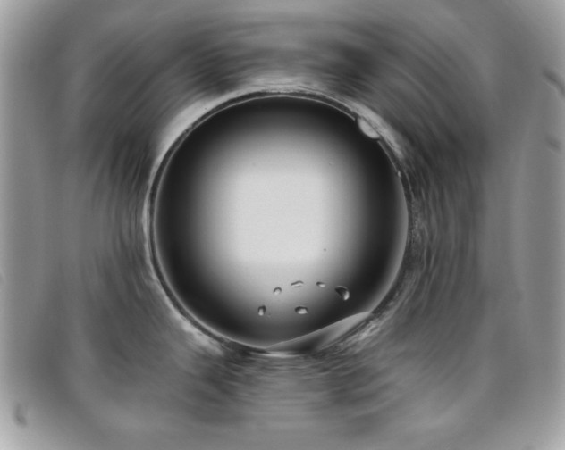 X0000095881343200801111125
