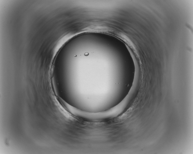 X0000095881344200801111125