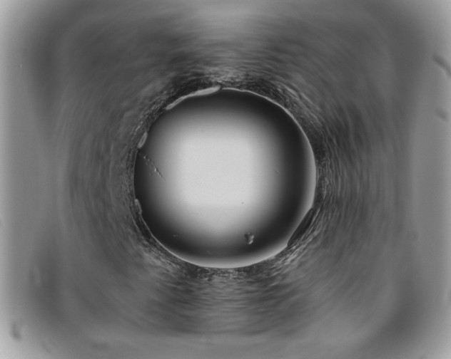 X0000095881345200801111124
