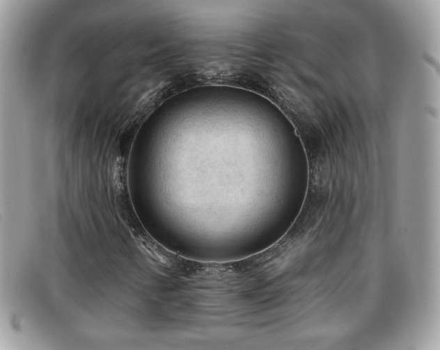 X0000095881346200801111124