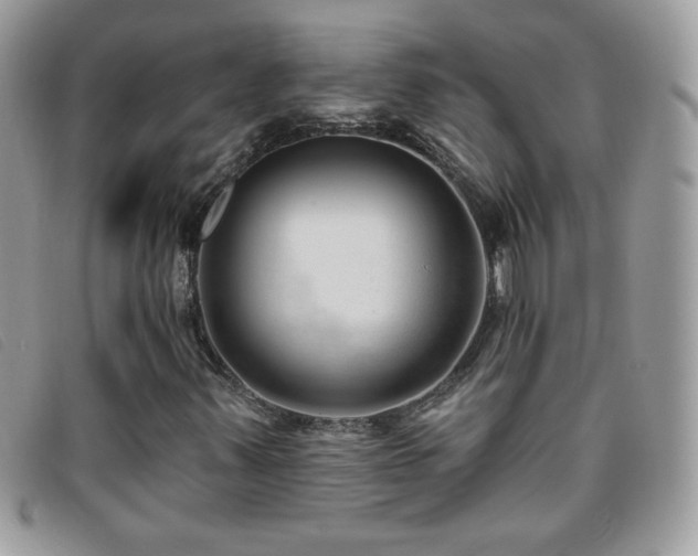 X0000095881347200801111124