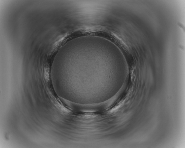 X0000095881348200801111124