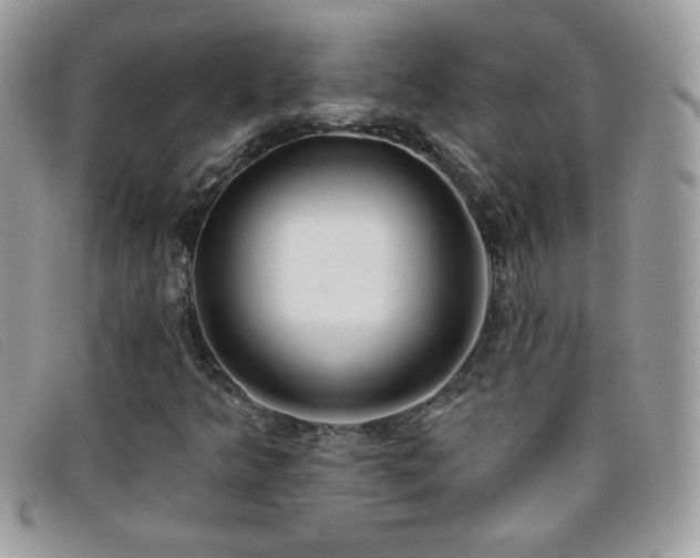 X0000095881349200801111124
