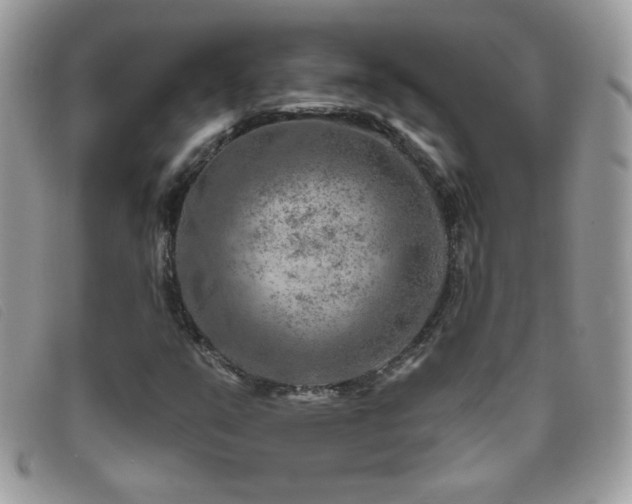 X0000095881351200801111124