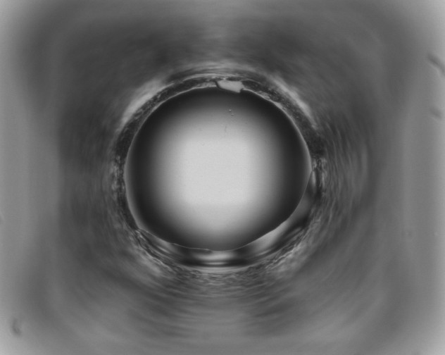 X0000095881352200801111124
