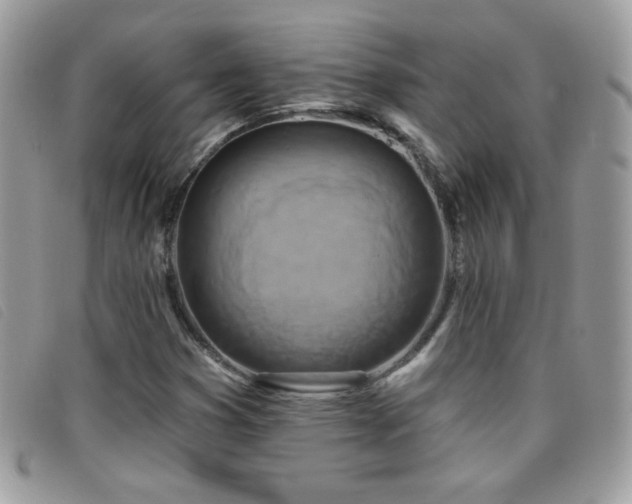 X0000095881353200801111124