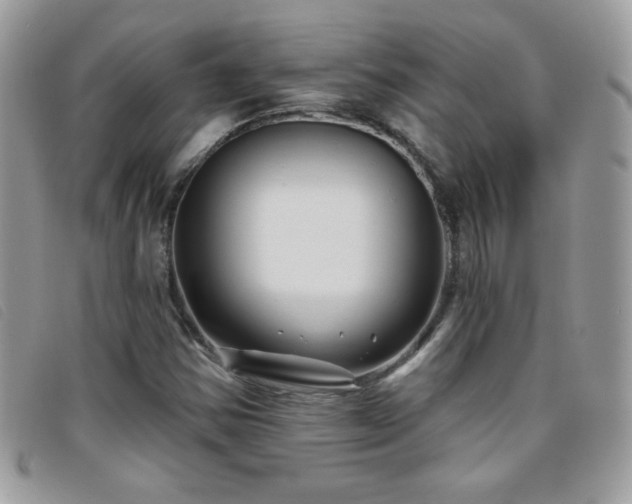 X0000095881354200801111124