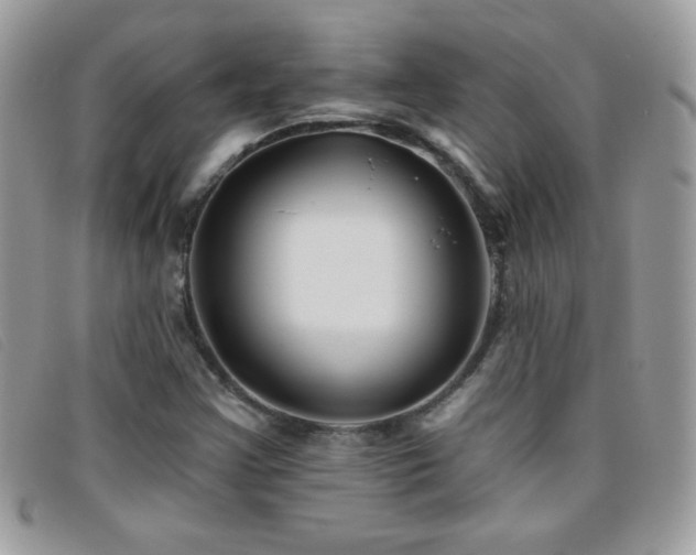 X0000095881355200801111124
