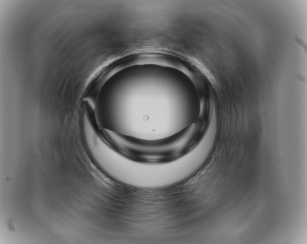 X0000095881356200801111124