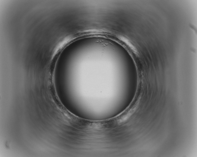 X0000095881357200801111124