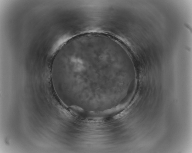 X0000095881359200801111124
