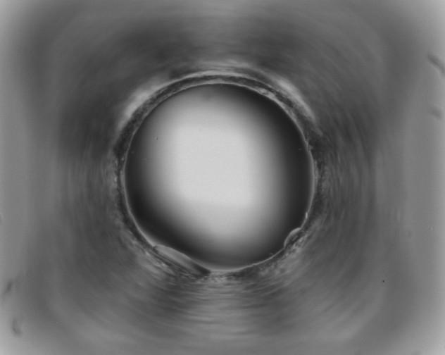 X0000095881360200801111124