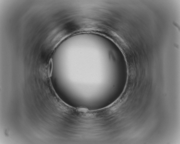 X0000095881361200801111124