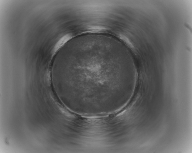 X0000095881362200801111124