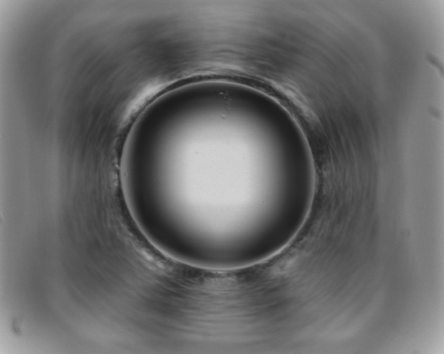 X0000095881363200801111124