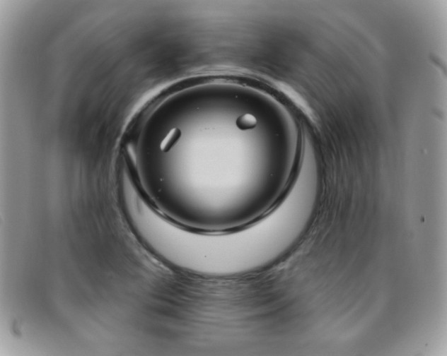 X0000095881364200801111124