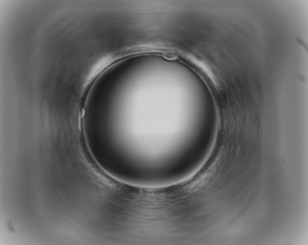 X0000095881365200801111124