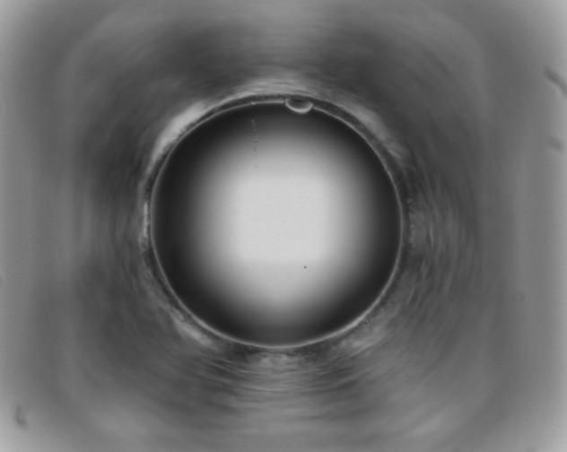 X0000095881366200801111124