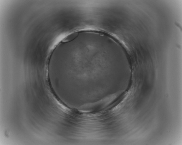 X0000095881367200801111124