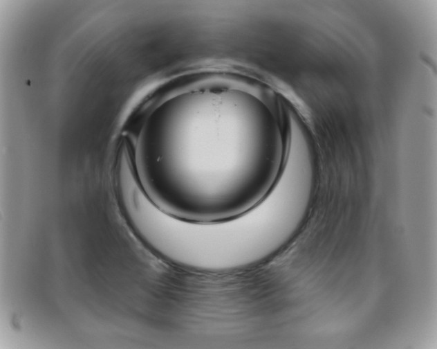 X0000095881368200801111124