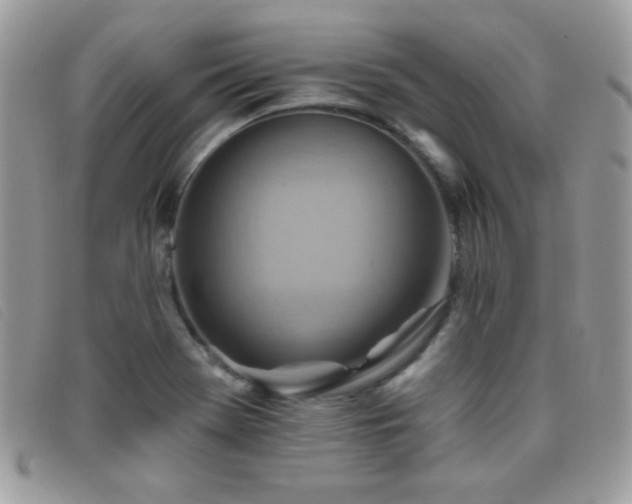 X0000095881369200801111124