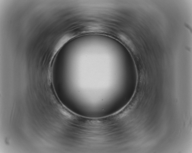 X0000095881370200801111124