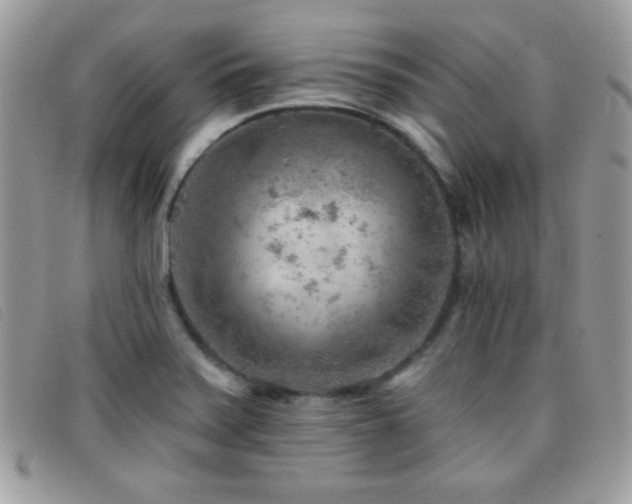 X0000095881371200801111124